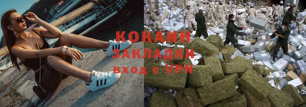 шишки Михайловка