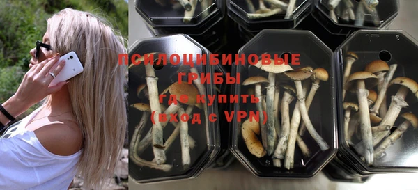 шишки Михайловка