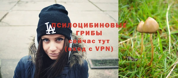 шишки Михайловка