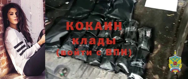 шишки Михайловка
