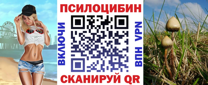 Псилоцибиновые грибы Magic Shrooms  Купить  Ялта 