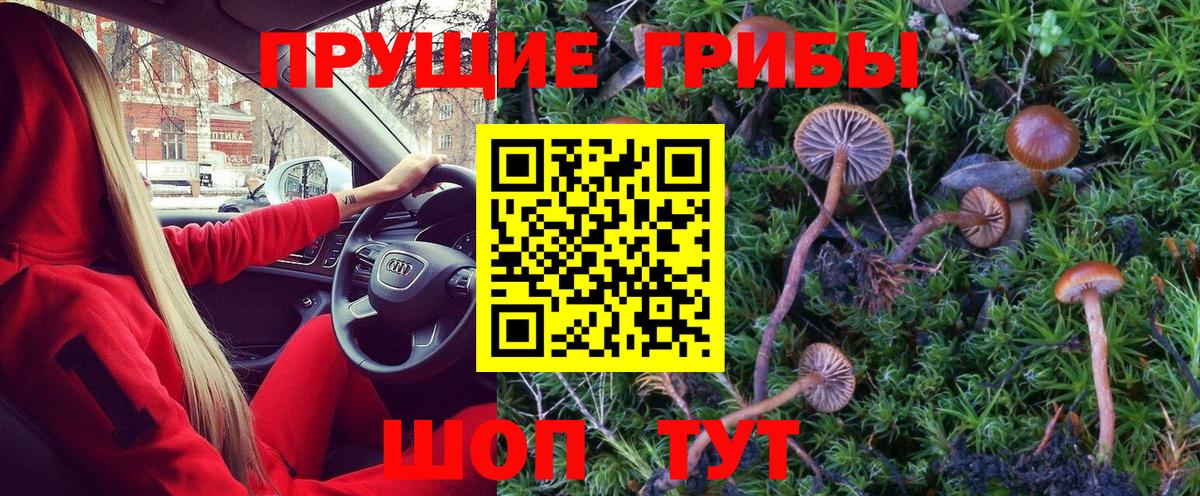 Галлюциногенные грибы мухоморы  Ялта  хочу   Галлюциногенные грибы прущие грибы 