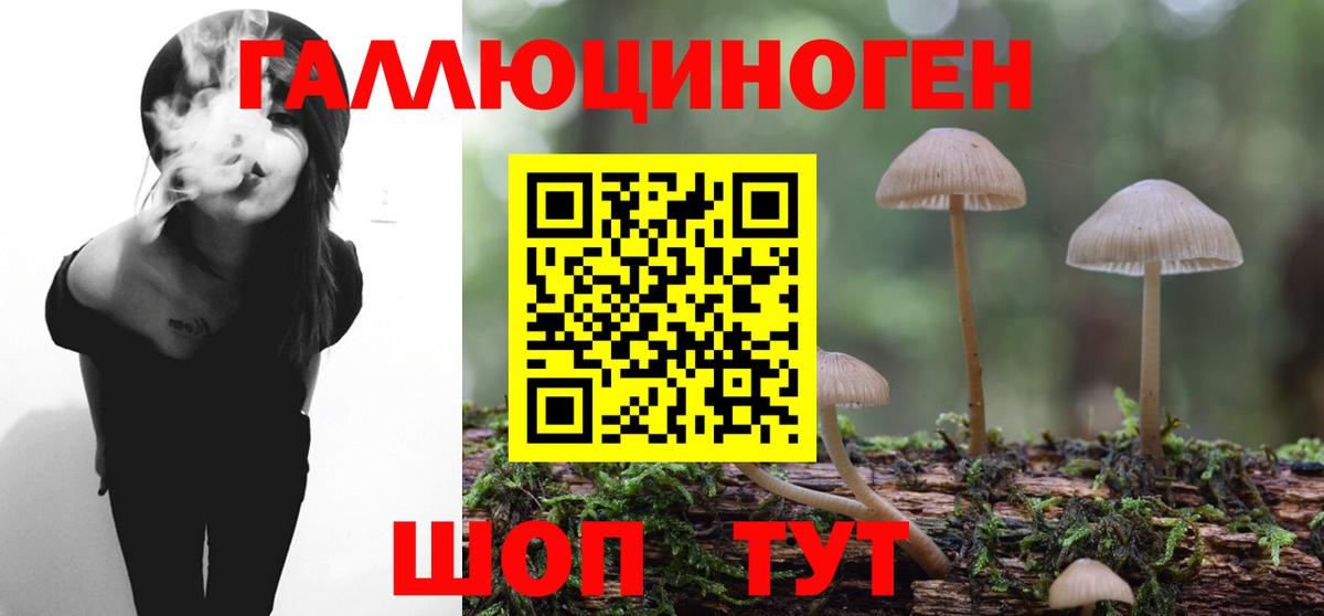 Псилоцибиновые грибы мицелий Ялта