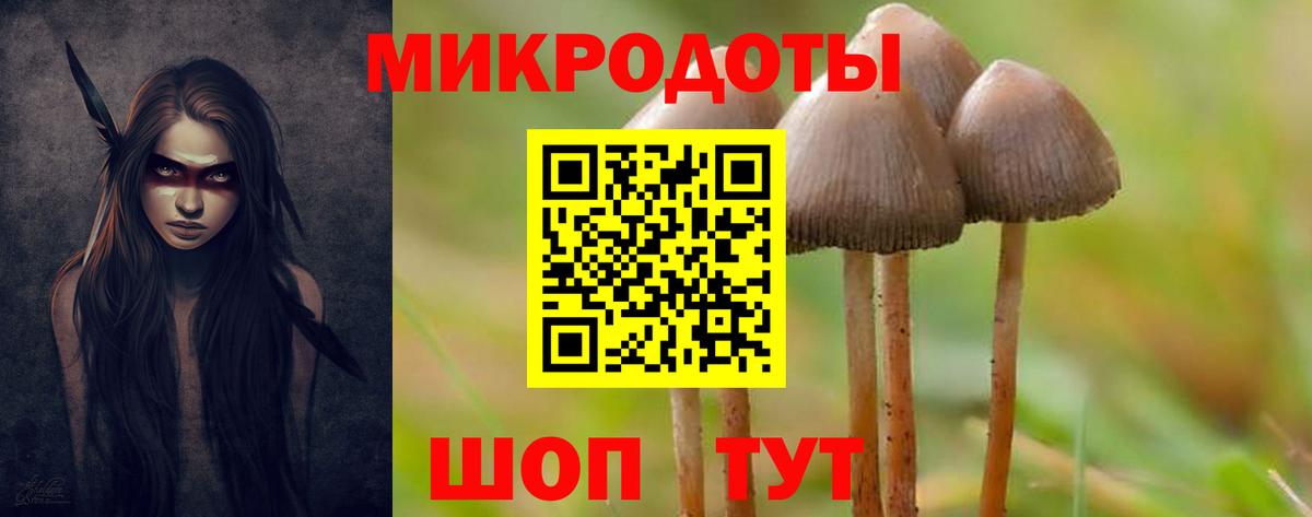 Псилоцибиновые грибы MAGIC MUSHROOMS  Вход с VPN  Ялта  Галлюциногенные грибы ЛСД 