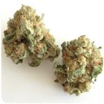 Шишки "White Widow"  (Белая вдова)  Гидропоника -  Бошка VHQ в Ялте